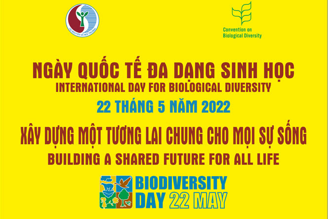 Ngày Quốc tế đa dạng sinh học (22/5): Xây dựng một tương lai chung cho mọi sự sống